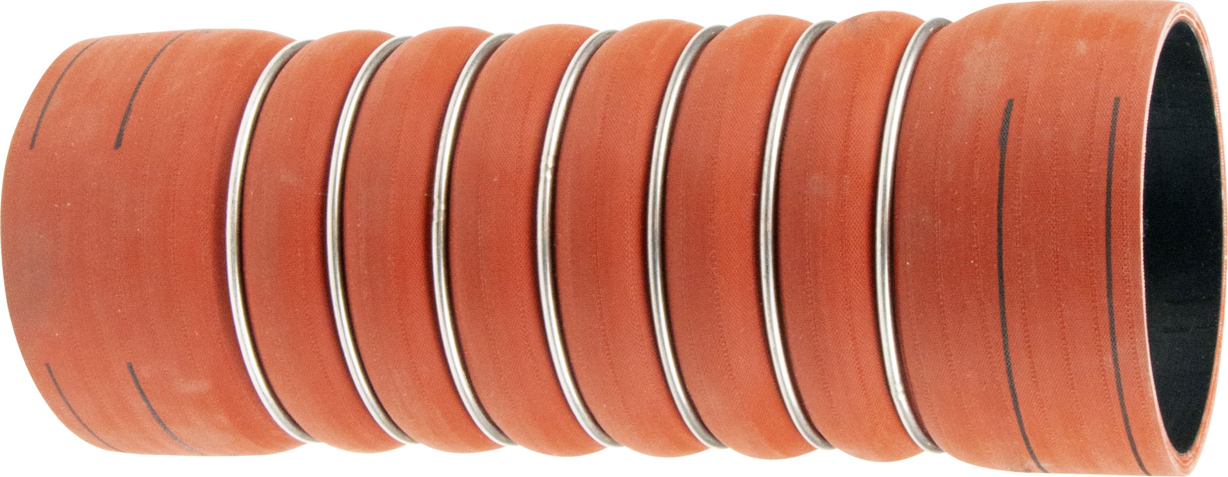 R69231