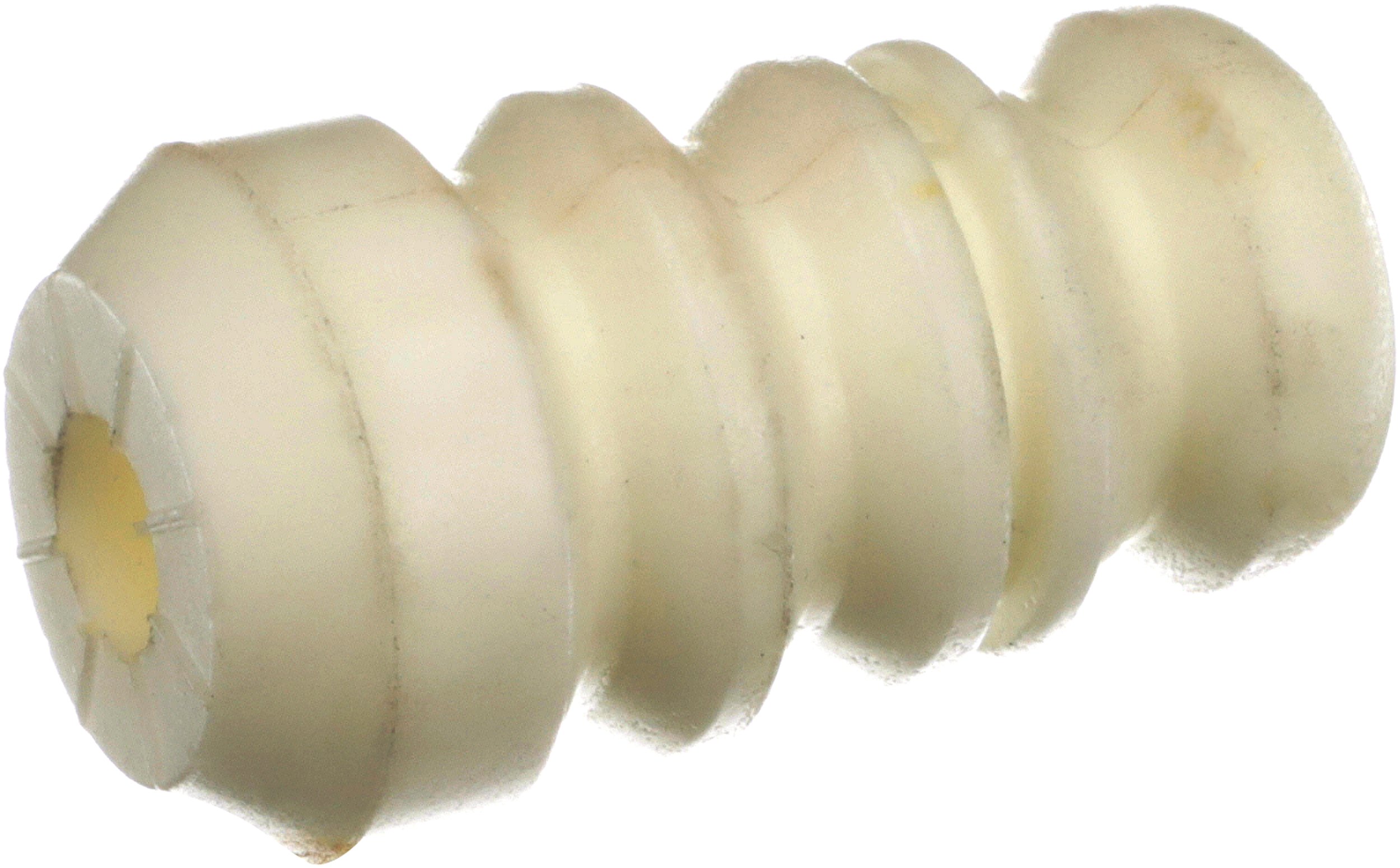 R55481