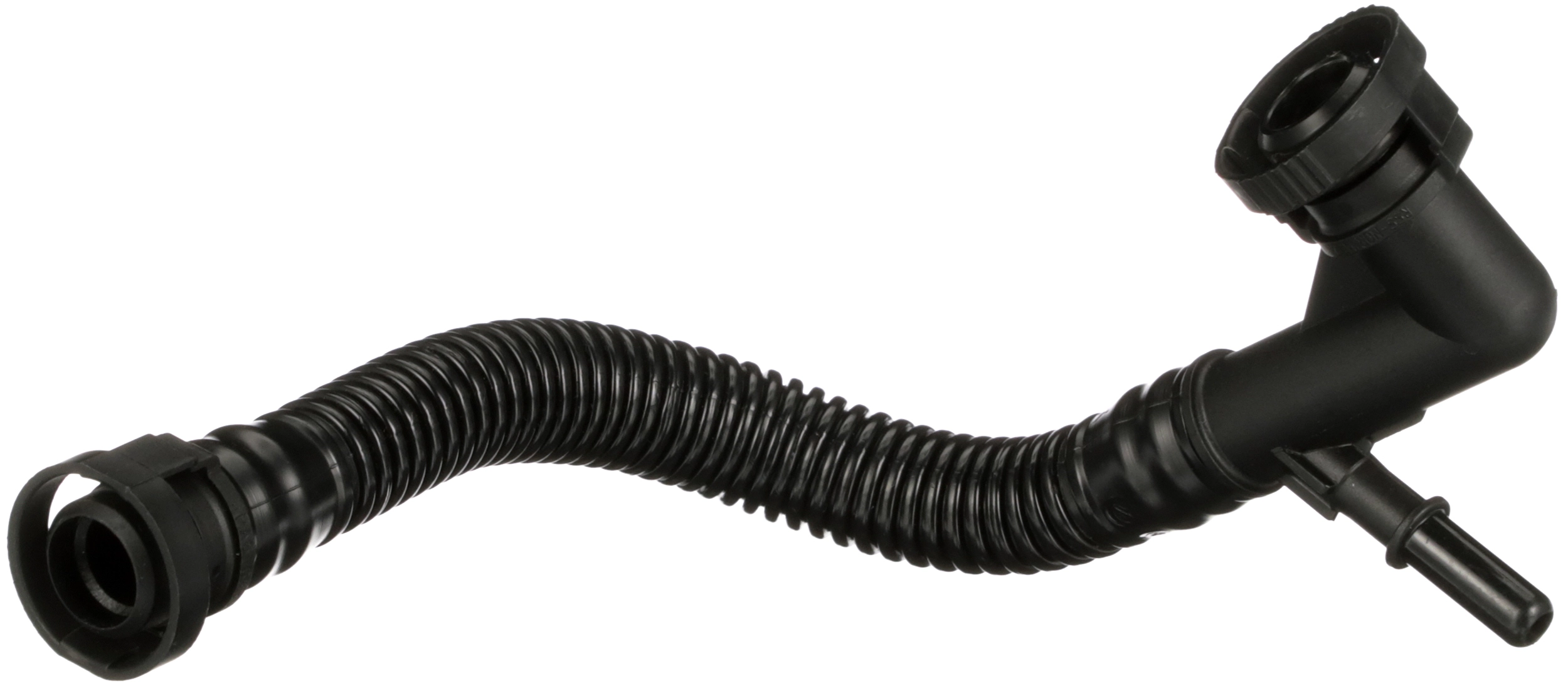 R19560