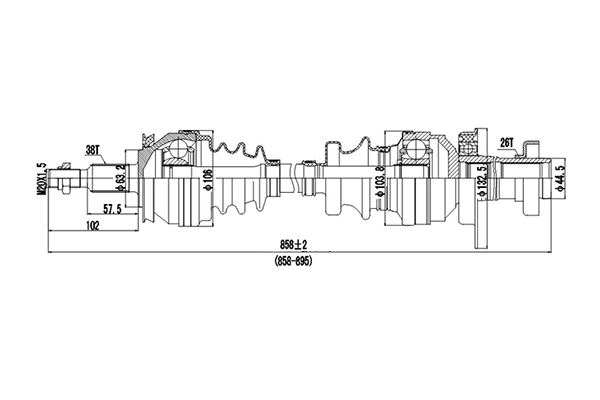DDS203246