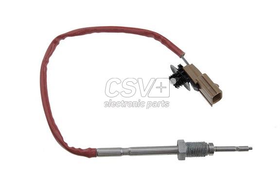 CST2300