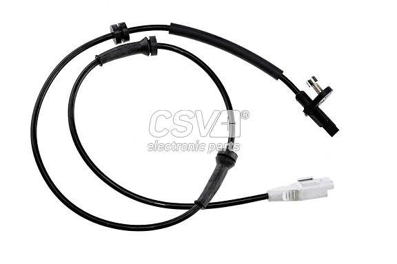 CSG1013