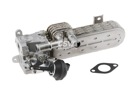 CEF5553