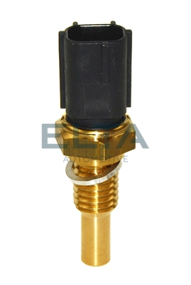 EV0019