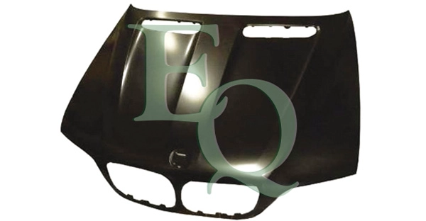 L06041