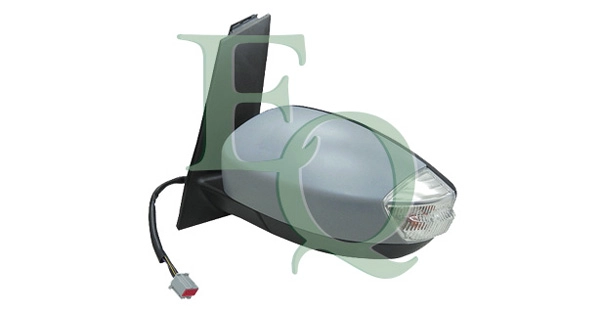 RS01809