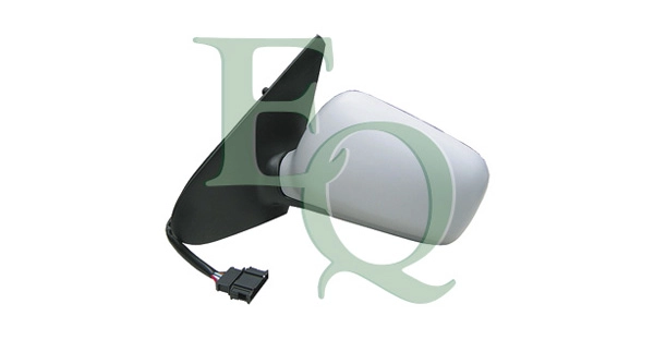 RS01079