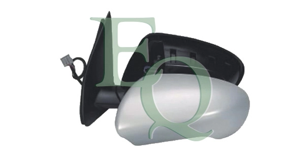 RS01980