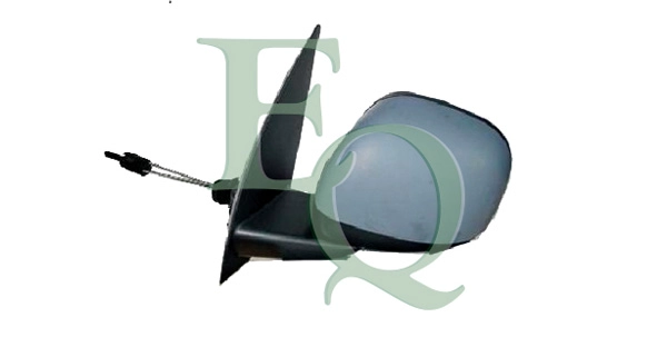RS01419