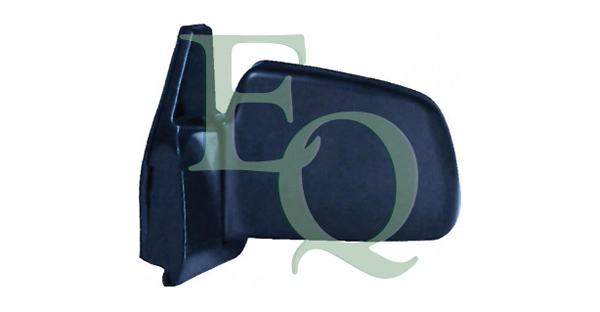 RS01009