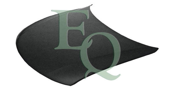 L00513