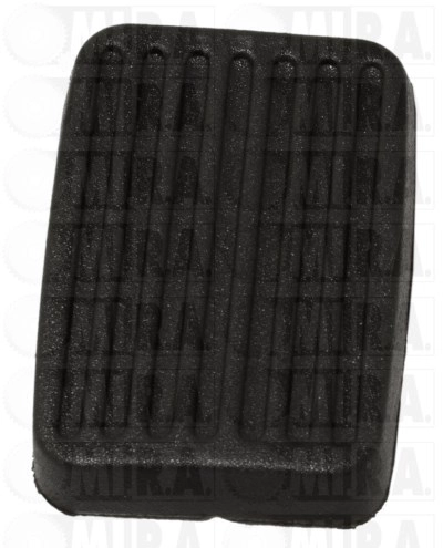 45/1981