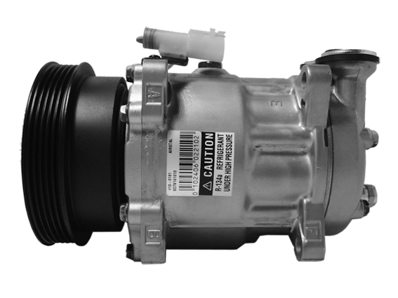 JPB10019