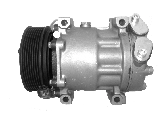 32008563