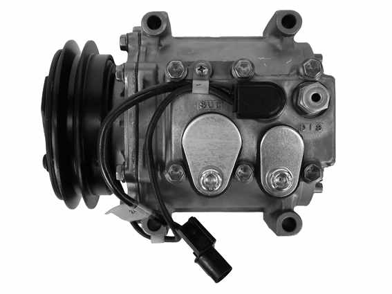 MK512758