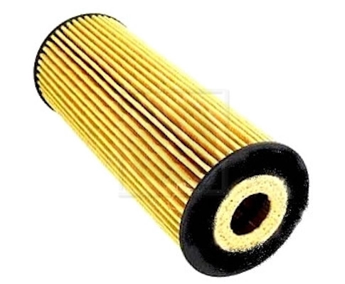 S131G02