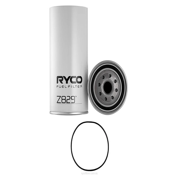 RY-Z829