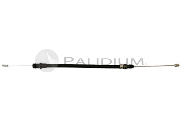 PAL3-1055