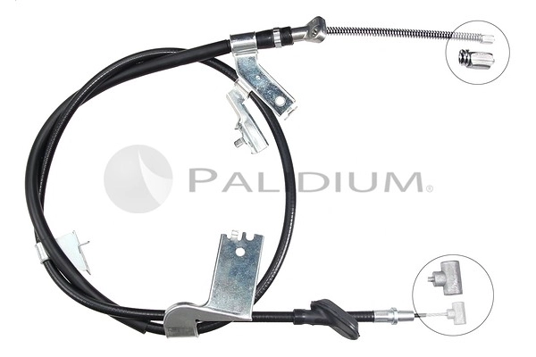 PAL3-1201