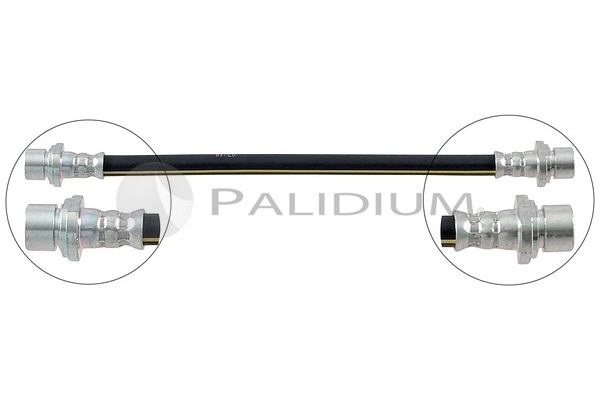 PAL3-0497