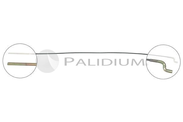 PAL3-1008