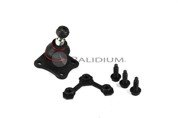 PAL5-6019