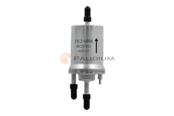PAL2-6004