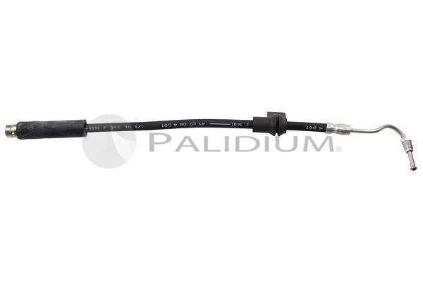 PAL3-0207