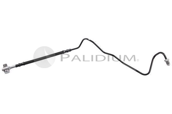 PAL3-0246
