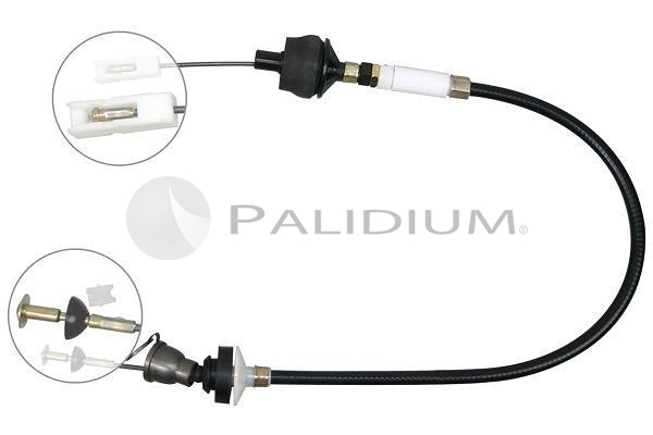 PAL3-1801