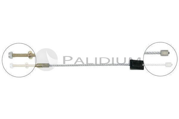 PAL3-1479