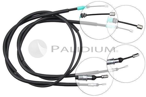PAL3-1037