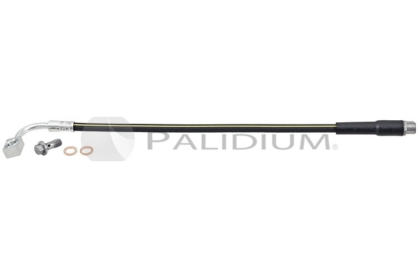 PAL3-0429