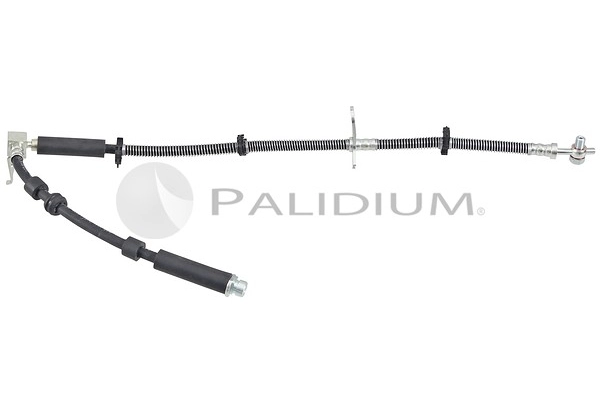 PAL3-0364