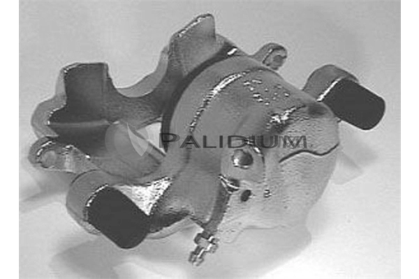 PAL4-1669