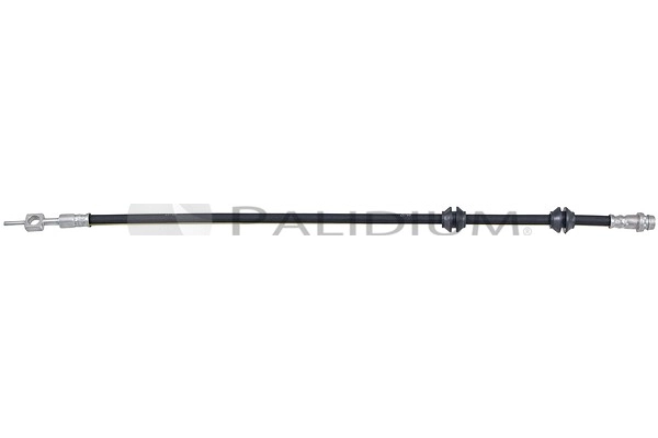 PAL3-0431