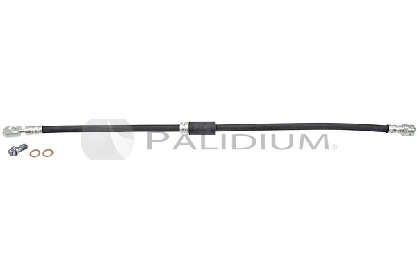 PAL3-0366