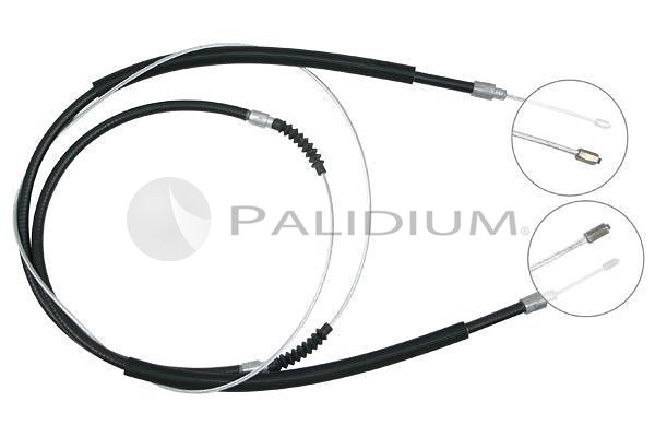 PAL3-1076