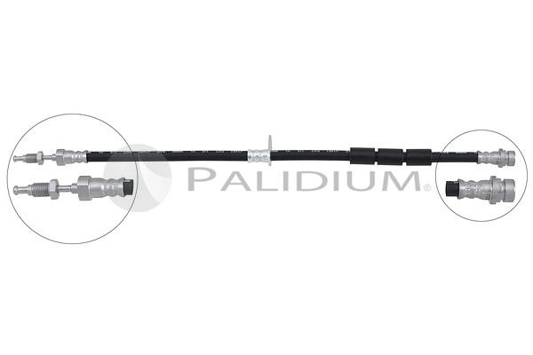 PAL3-0468