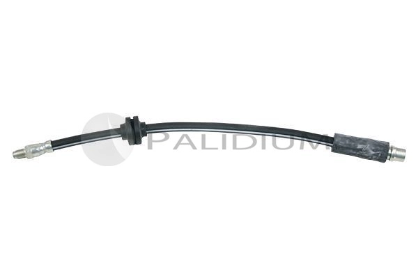 PAL3-0176