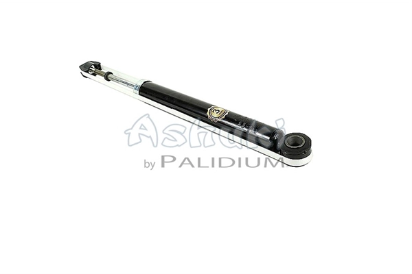 ASH9-0022