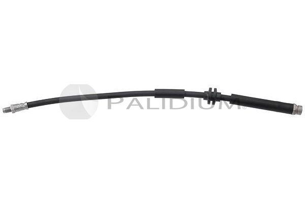 PAL3-0307