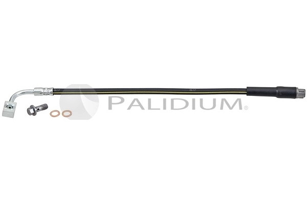 PAL3-0428