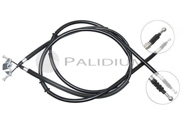 PAL3-1105