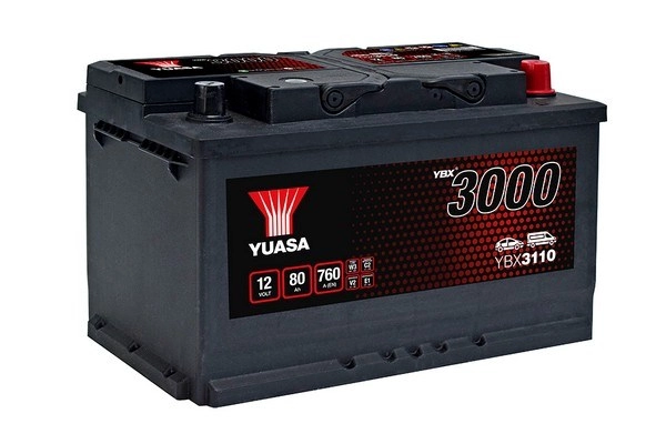 YBX3110