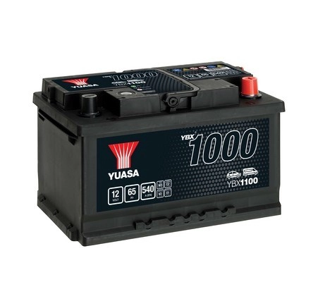 YBX1100