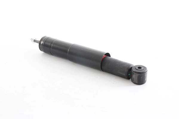 BSG 25-300-012