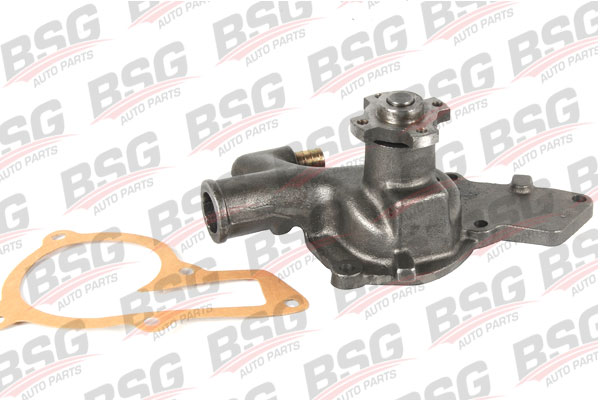 BSG 30-500-008