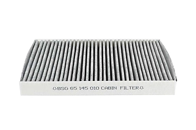 BSG 65-145-010