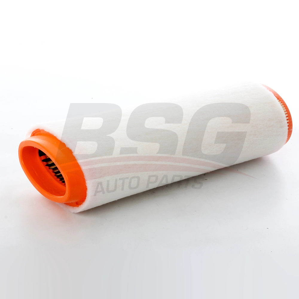 BSG 15-135-005